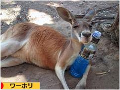 にほんブログ村 海外生活ブログ ワーホリへ