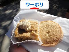 にほんブログ村 海外生活ブログ ワーホリへ