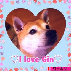 にほんブログ村 海外生活ブログ ワーホリへ