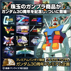 ガンダム30年記念プレミアム企画