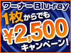 1枚からでも￥2，500 キャンペーン！