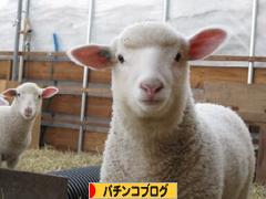 にほんブログ村 パチンコブログへ