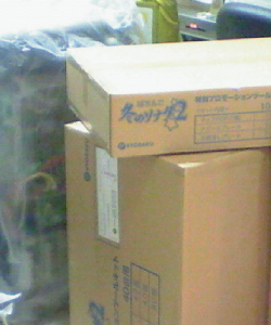 fuyusona2.jpg
