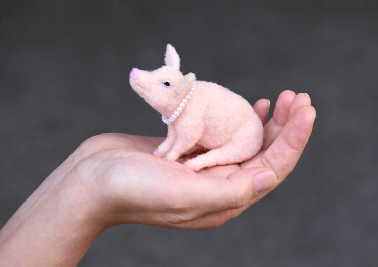 「豚に真珠」の画像検索結果