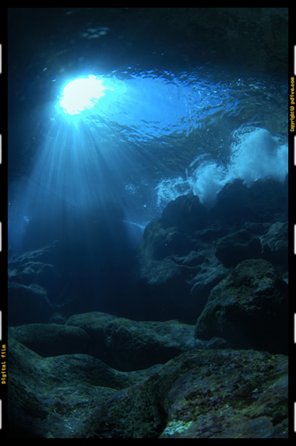 クリックすると新しいウィンドウで開きます