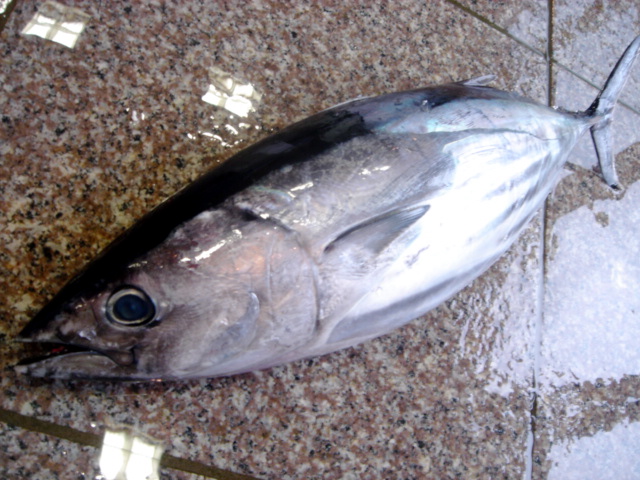 クリックすると新しいウィンドウで開きます