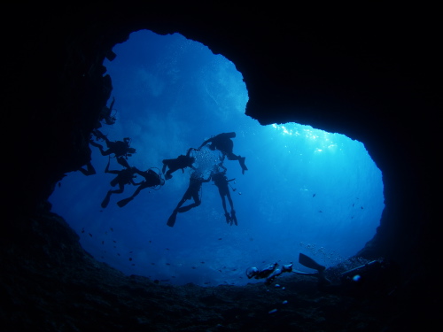 クリックすると新しいウィンドウで開きます