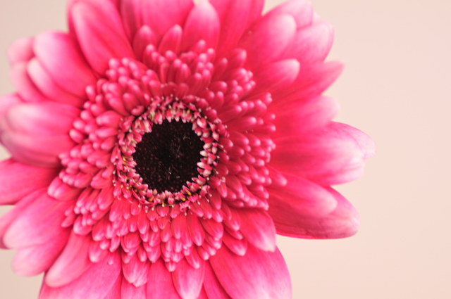 クリックすると新しいウィンドウで開きます