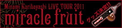 栗林みな実ライブツアー2011 miracle fruit