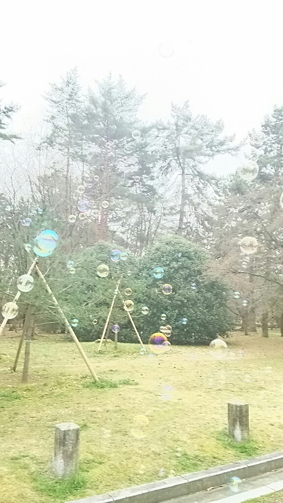f0152875_08360524.jpg