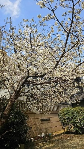 f0152875_07355619.jpg