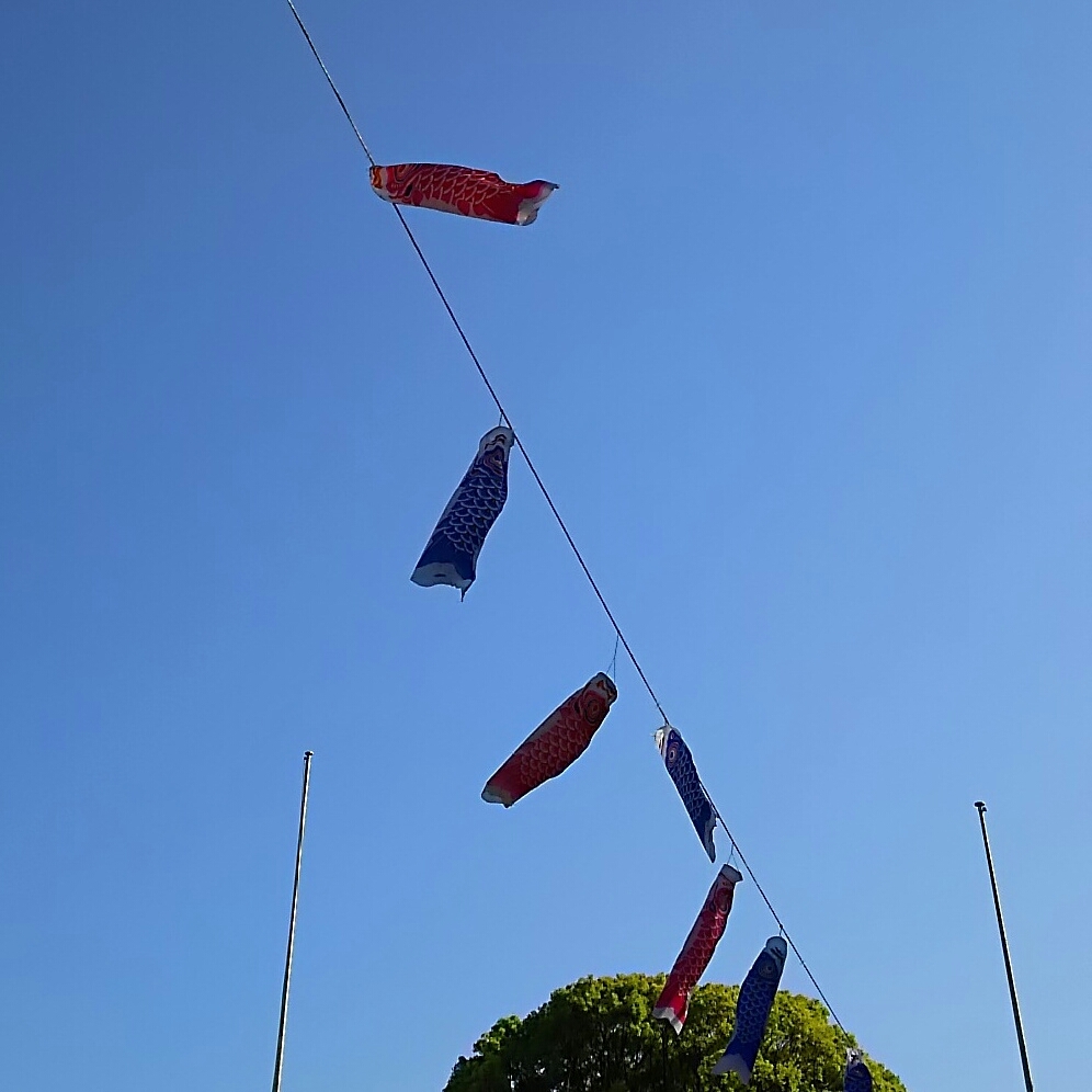 f0152875_08375901.jpg