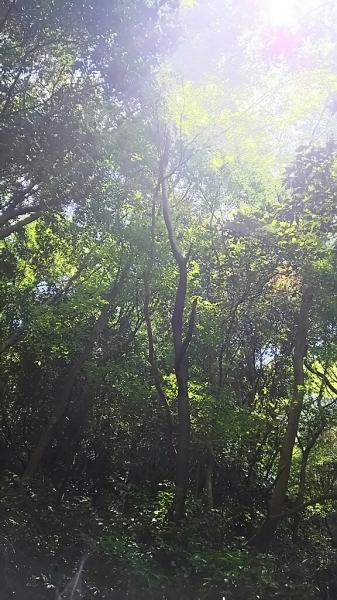 f0152875_07394157.jpg