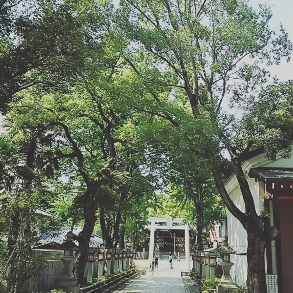 f0152875_08462073.jpg