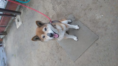 200328_163711_00004185