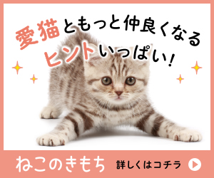 ヒトと愛猫の生活情報誌「ねこのきもち」