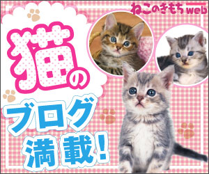 猫のブログ満載!「ねこのきもちweb」