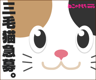 ねこのきもち「猫種/柄図鑑」