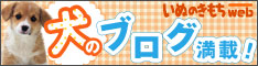 犬のブログ満載！「いぬのきもちweb」