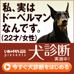 犬診断（いぬのきもち）