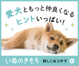 ヒトと愛犬の生活情報誌「いぬのきもち」