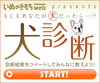 犬診断（いぬのきもち）