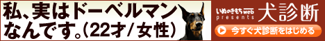 犬診断（いぬのきもち）