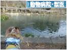 にほんブログ村 その他ペットブログ 動物病院・獣医へ
