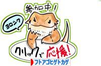 にほんブログ村 その他ペットブログ フトアゴヒゲトカゲへ