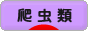 にほんブログ村 その他ペットブログ 爬虫類へ