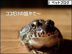 にほんブログ村 その他ペットブログへ