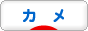 にほんブログ村 その他ペットブログ カメへ
