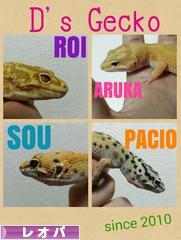 にほんブログ村 その他ペットブログ レオパへ