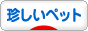 にほんブログ村 その他ペットブログ 珍しいその他ペットへ