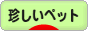にほんブログ村 その他ペットブログ 珍しいその他ペットへ