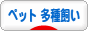 にほんブログ村 その他ペットブログ その他ペット 多種飼いへ
