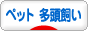 にほんブログ村 その他ペットブログ その他ペット 多頭飼いへ