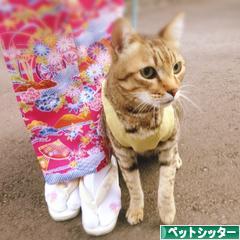 にほんブログ村 その他ペットブログ ペットシッターへ