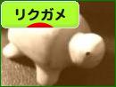にほんブログ村 その他ペットブログ リクガメへ