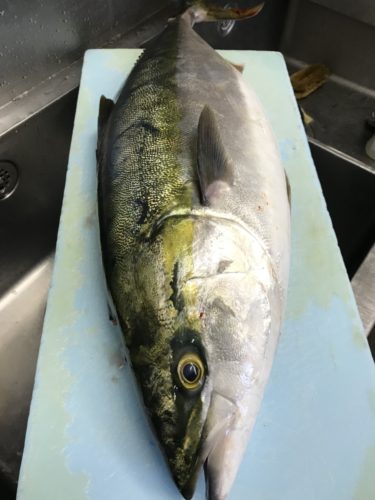 image_c6ee033