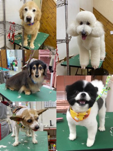 641e4f91-fa73-40da-888f-7e71856d5683