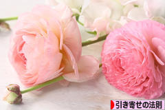 にほんブログ村 哲学・思想ブログ 引き寄せの法則へ