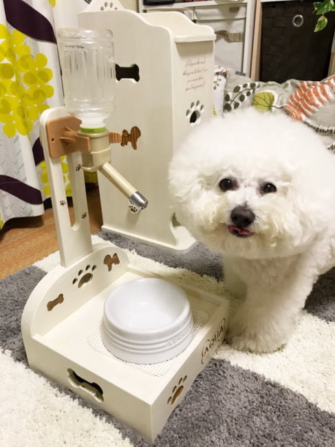 無料ダウンロード 犬 水飲み スタンド 手作り