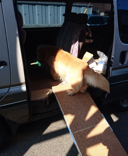犬用 車の乗降用スロープです フィービー ココアのブログ