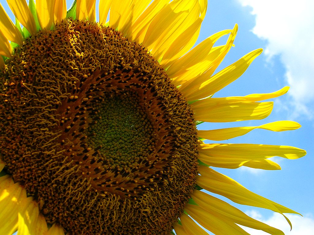 $What are u going ???-未設定