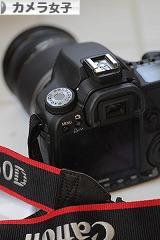 にほんブログ村 写真ブログ カメラ女子（女性初心者）へ