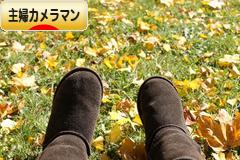 にほんブログ村 写真ブログ 主婦カメラマンへ