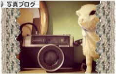 にほんブログ村 写真ブログへ