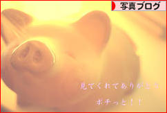 にほんブログ村 写真ブログへ