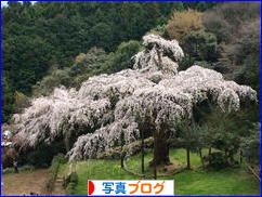 にほんブログ村 写真ブログへ